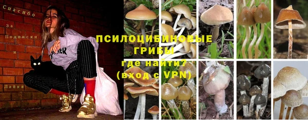 jwh Волоколамск