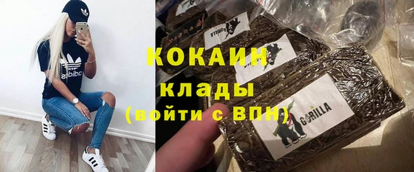 бошки Новозыбков