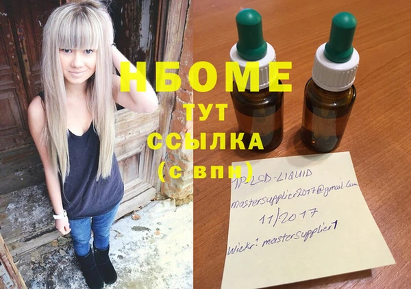 прущие грибы Вяземский