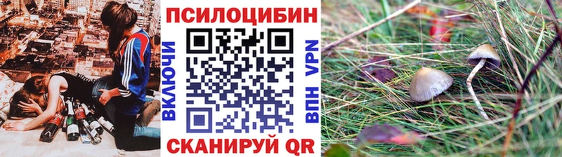 Псилоцибиновые грибы MAGIC MUSHROOMS Луза